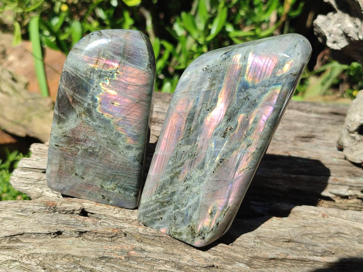 Polished Rare Purple Sunset Flash Labradorite Standing Free Forms x 4 From Madagascar - Toprock Gemstones and Minerals 