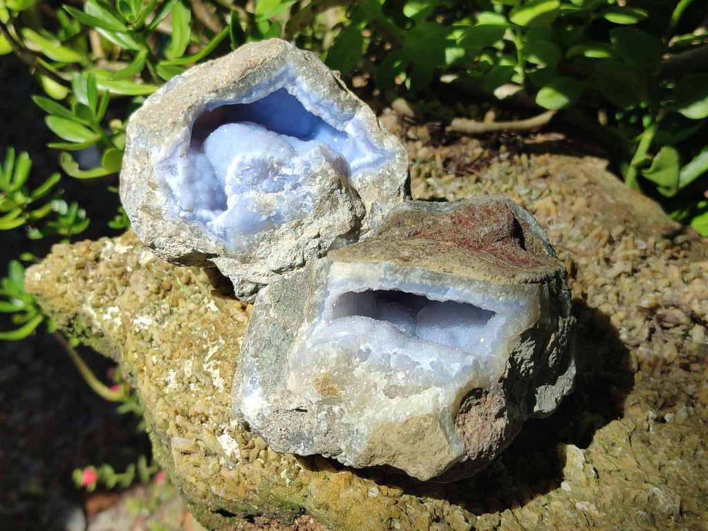 Natural Blue Lace Agate Geode Specimens x 4 From Nsanje, Malawi - Toprock Gemstones and Minerals 