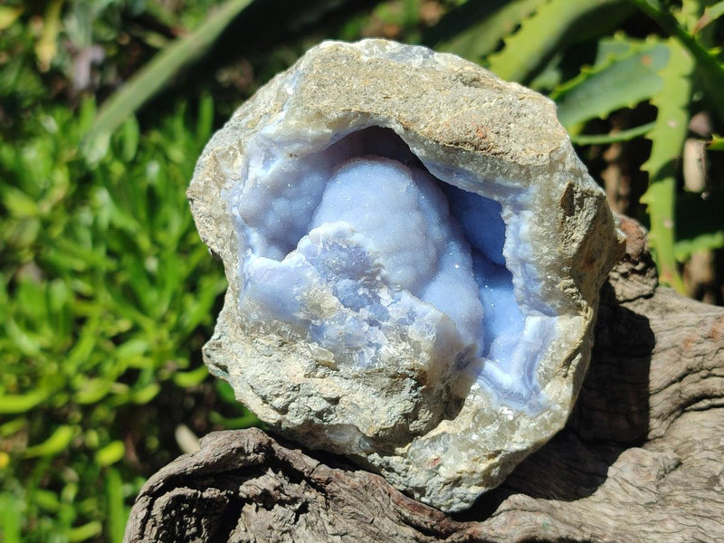 Natural Blue Lace Agate Geode Specimens x 4 From Nsanje, Malawi - Toprock Gemstones and Minerals 
