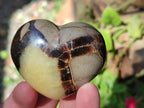 Polished Septerye Fossil Hearts x 10 From Mahajanga, Madagascar - Toprock Gemstones and Minerals 
