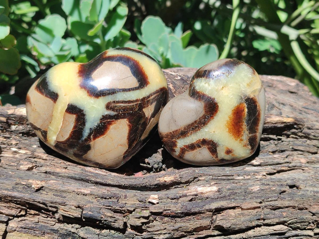 Polished Septerye Fossil Hearts x 10 From Mahajanga, Madagascar - Toprock Gemstones and Minerals 