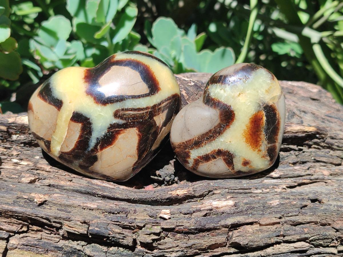 Polished Septerye Fossil Hearts x 10 From Mahajanga, Madagascar - Toprock Gemstones and Minerals 
