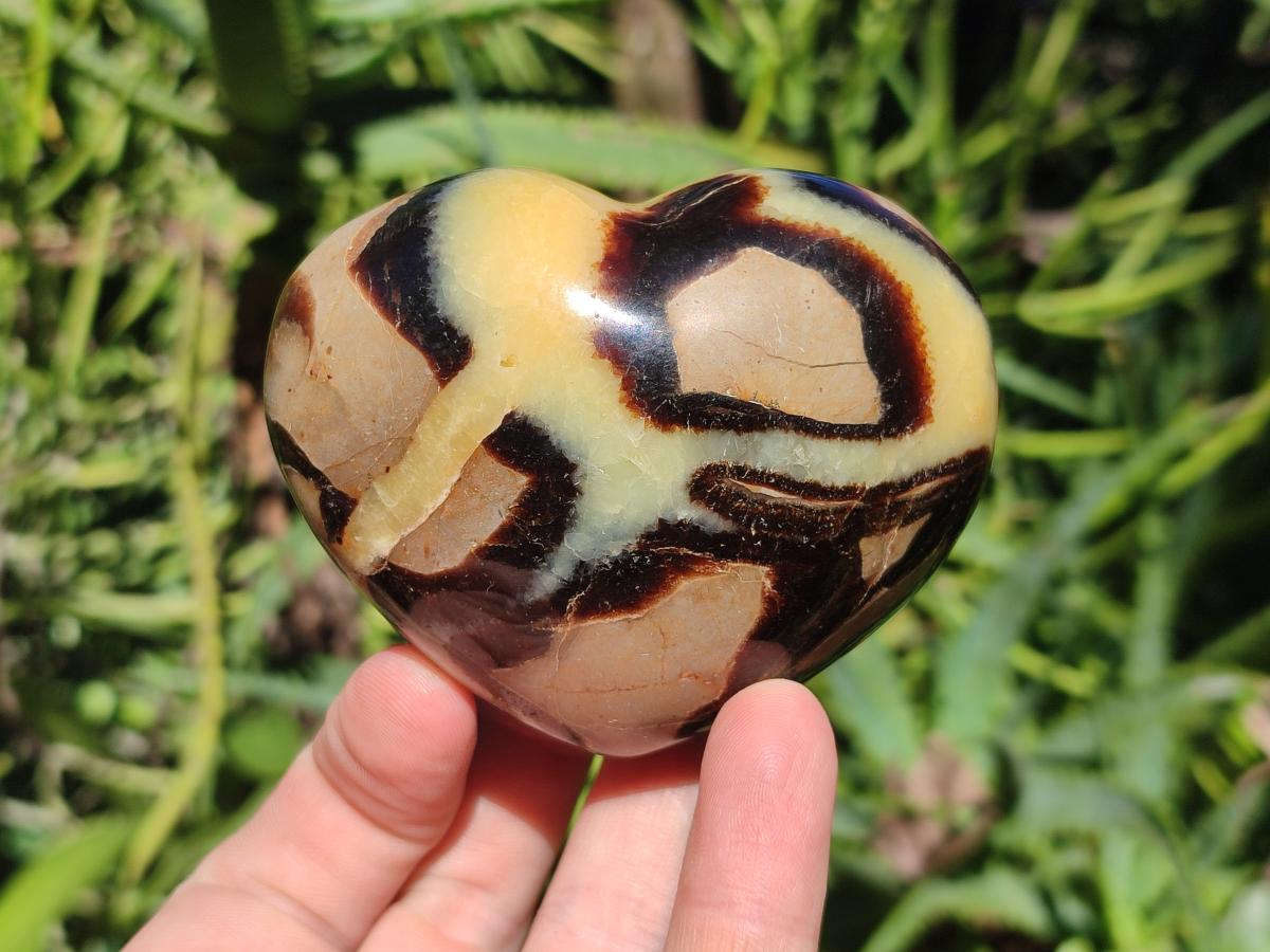 Polished Septerye Fossil Hearts x 10 From Mahajanga, Madagascar - Toprock Gemstones and Minerals 