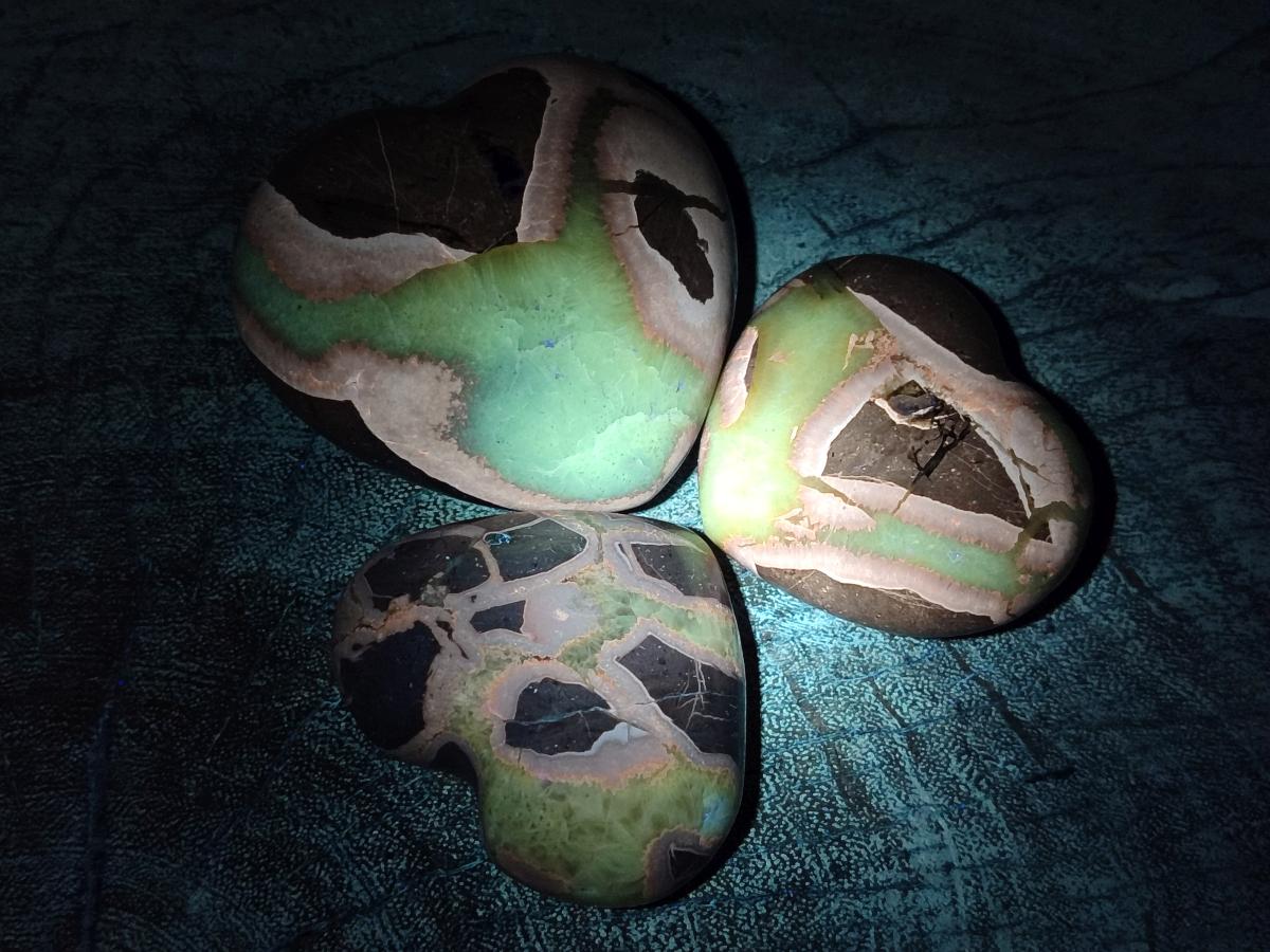 Polished Septerye Fossil Hearts x 10 From Mahajanga, Madagascar - Toprock Gemstones and Minerals 