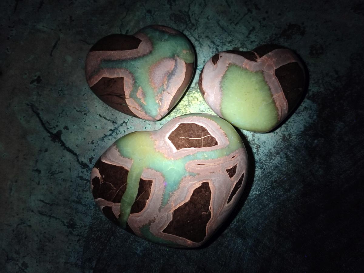 Polished Septerye Fossil Hearts x 10 From Mahajanga, Madagascar - Toprock Gemstones and Minerals 