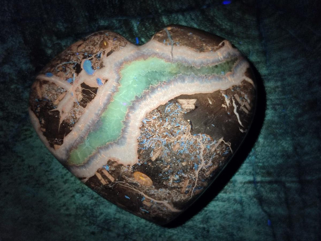 Polished Septerye Fossil Hearts x 10 From Mahajanga, Madagascar - Toprock Gemstones and Minerals 
