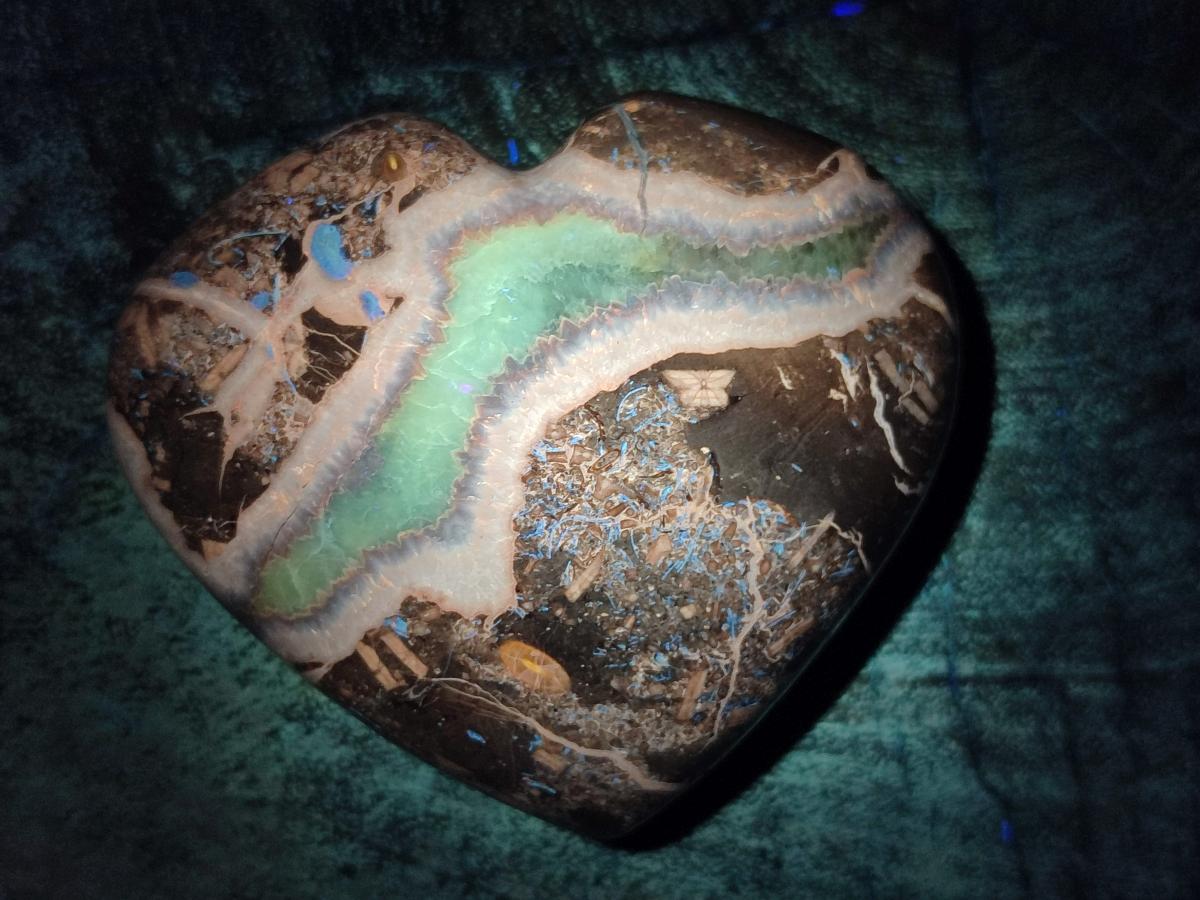 Polished Septerye Fossil Hearts x 10 From Mahajanga, Madagascar - Toprock Gemstones and Minerals 