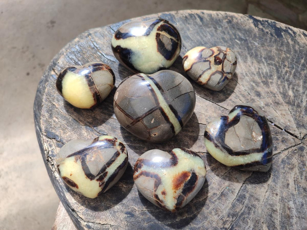 Polished Septerye Fossil Hearts x 10 From Mahajanga, Madagascar - Toprock Gemstones and Minerals 
