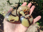 Polished Septerye Fossil Hearts x 10 From Mahajanga, Madagascar - Toprock Gemstones and Minerals 