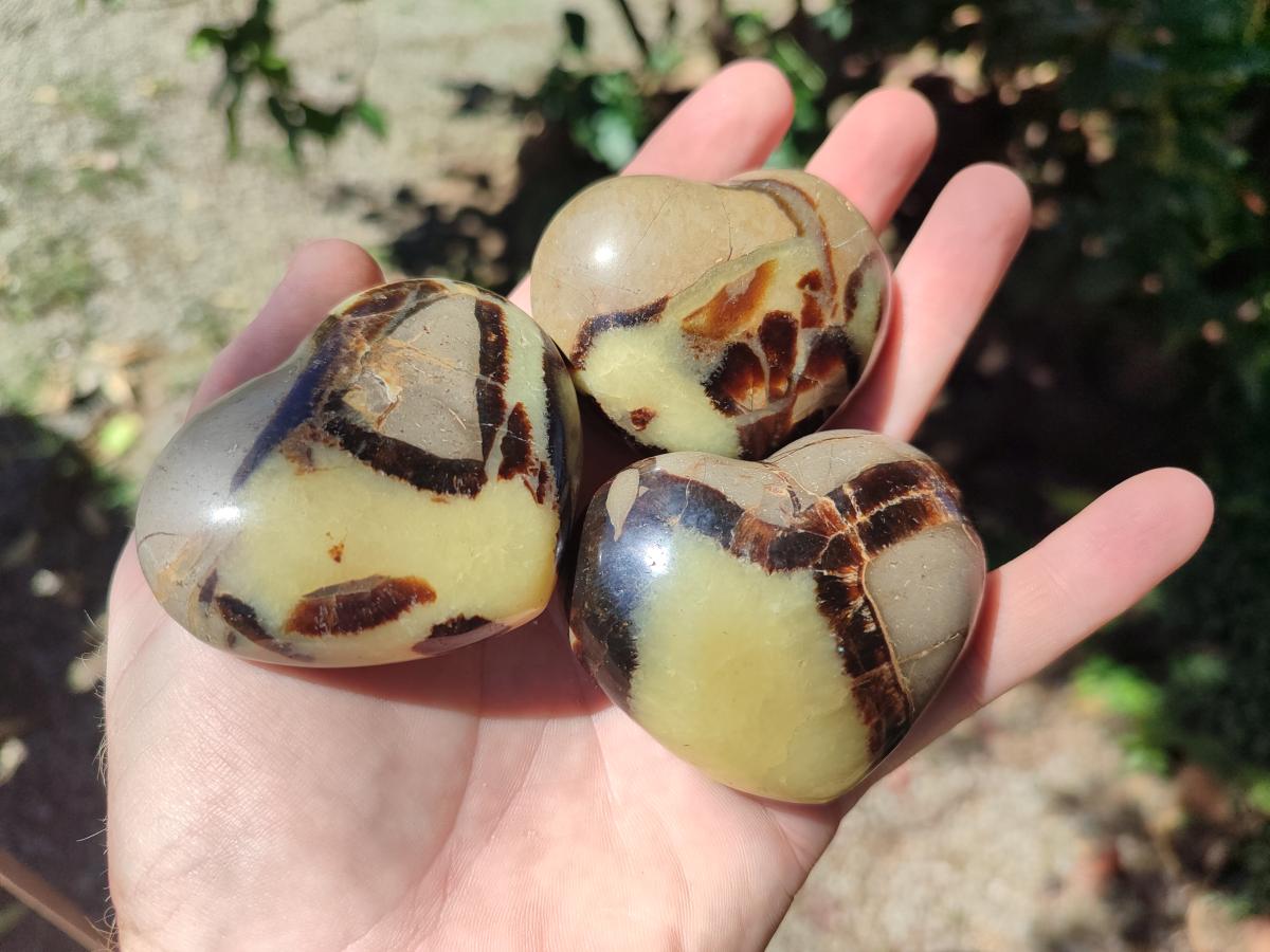 Polished Septerye Fossil Hearts x 10 From Mahajanga, Madagascar - Toprock Gemstones and Minerals 