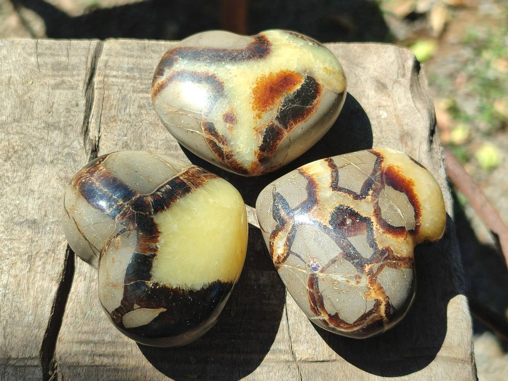 Polished Septerye Fossil Hearts x 10 From Mahajanga, Madagascar - Toprock Gemstones and Minerals 