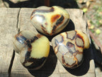Polished Septerye Fossil Hearts x 10 From Mahajanga, Madagascar - Toprock Gemstones and Minerals 