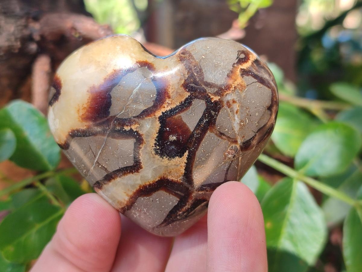Polished Septerye Fossil Hearts x 10 From Mahajanga, Madagascar - Toprock Gemstones and Minerals 