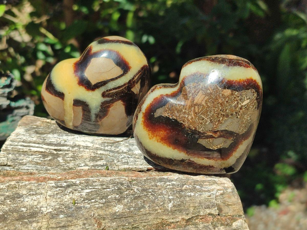 Polished Septerye Fossil Hearts x 10 From Mahajanga, Madagascar - Toprock Gemstones and Minerals 