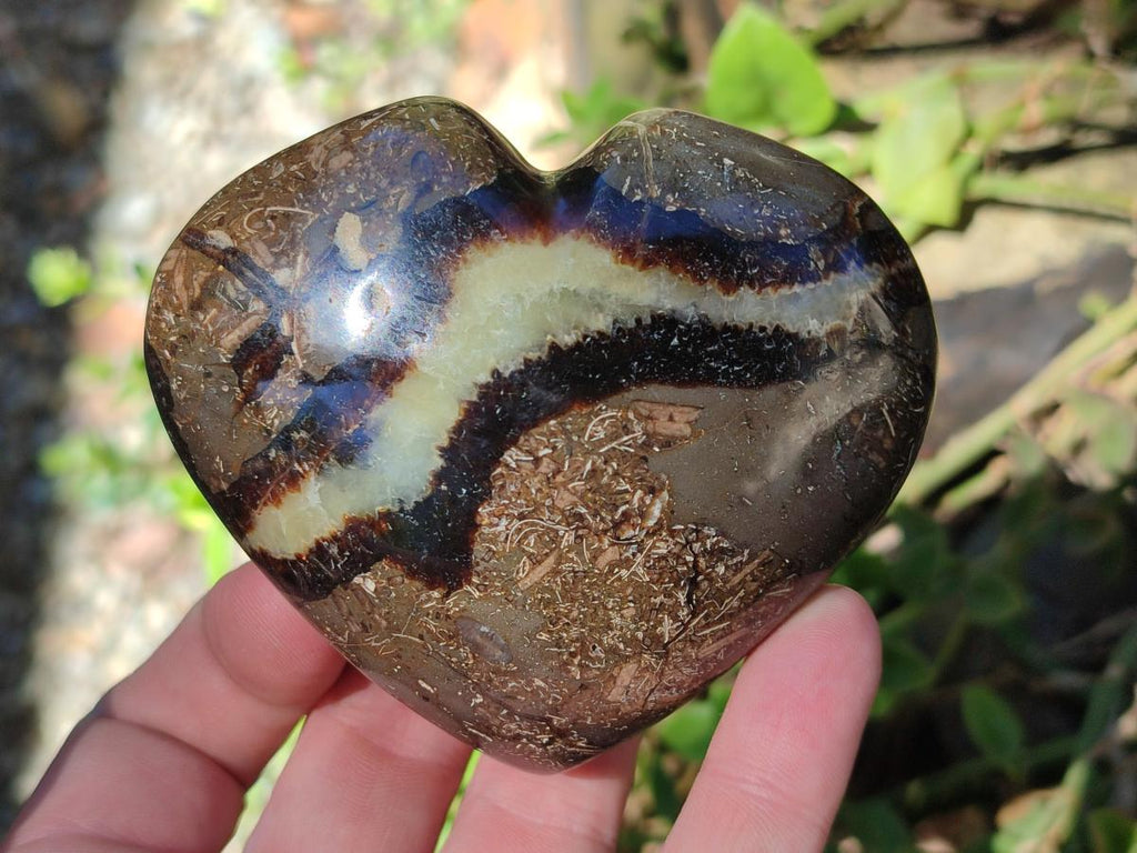 Polished Septerye Fossil Hearts x 10 From Mahajanga, Madagascar - Toprock Gemstones and Minerals 