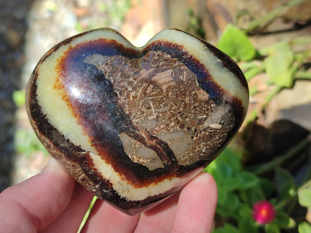 Polished Septerye Fossil Hearts x 10 From Mahajanga, Madagascar - Toprock Gemstones and Minerals 