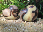 Polished Septerye Fossil Hearts x 10 From Mahajanga, Madagascar - Toprock Gemstones and Minerals 