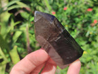 Polished Smokey Quartz and Amethyst Window Crystals x 6 From Akansobe, Madagascar - Toprock Gemstones and Minerals 