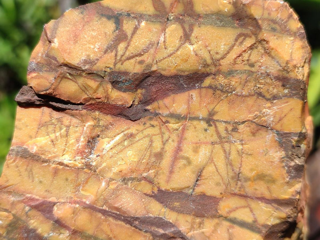 Natural Nguni Jasper Cobbed Specimens x 12 From Northern Cape, South Africa - Toprock Gemstones and Minerals 