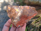 Natural Nguni Jasper Cobbed Specimens x 12 From Northern Cape, South Africa - Toprock Gemstones and Minerals 