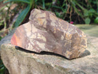 Natural Nguni Jasper Cobbed Specimens x 12 From Northern Cape, South Africa - Toprock Gemstones and Minerals 