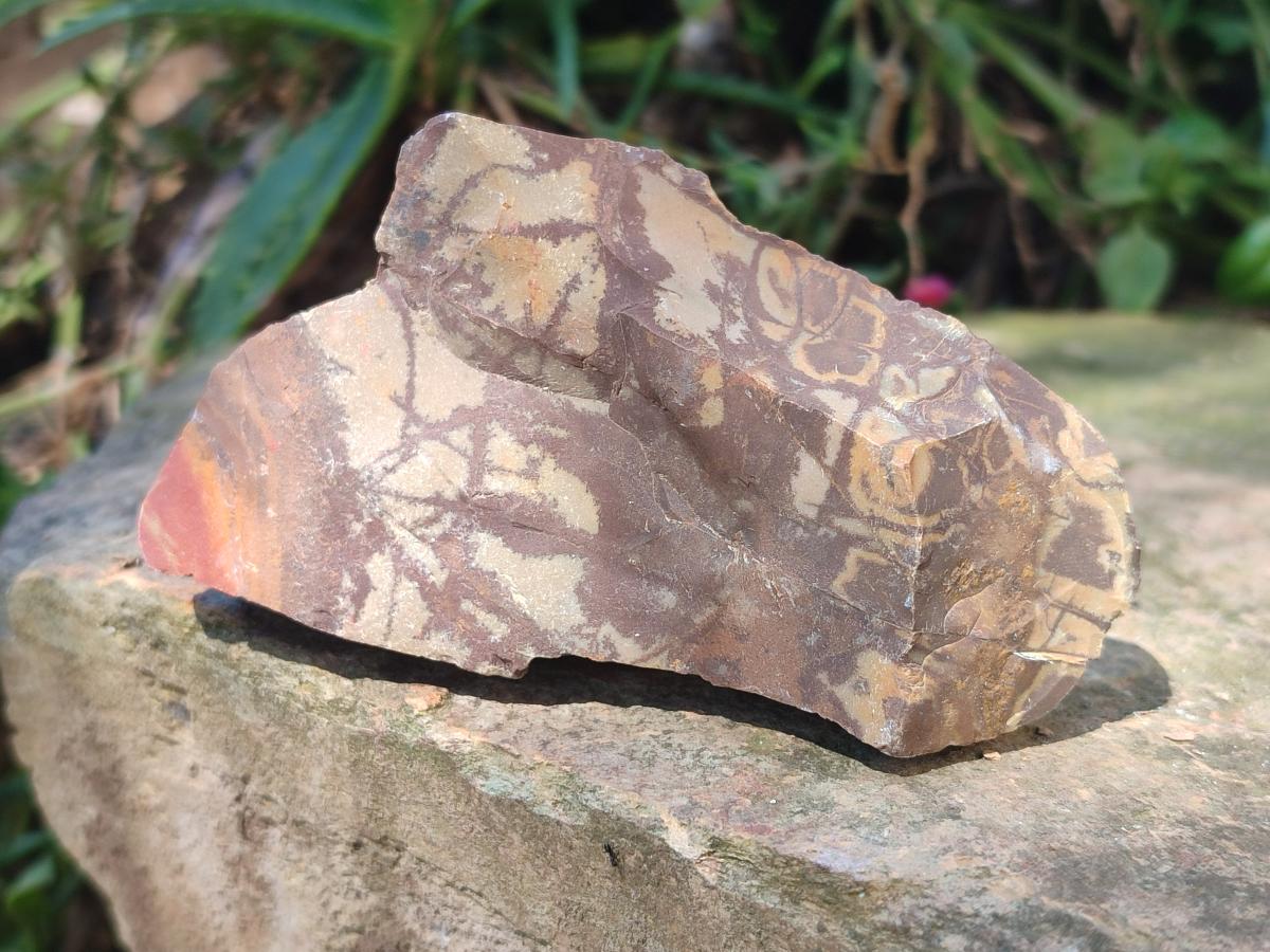 Natural Nguni Jasper Cobbed Specimens x 12 From Northern Cape, South Africa - Toprock Gemstones and Minerals 