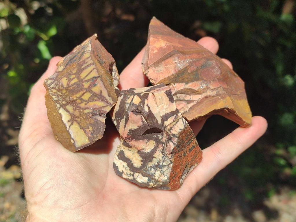 Natural Nguni Jasper Cobbed Specimens x 12 From Northern Cape, South Africa - Toprock Gemstones and Minerals 