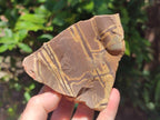 Natural Nguni Jasper Cobbed Specimens x 12 From Northern Cape, South Africa - Toprock Gemstones and Minerals 