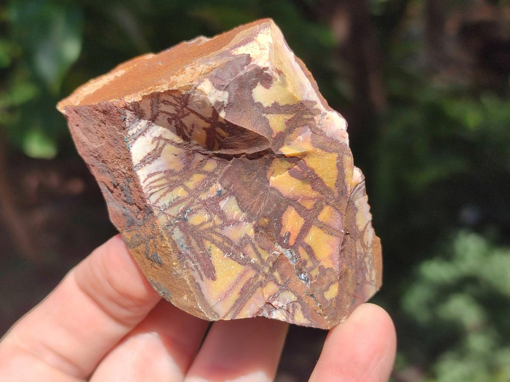 Natural Nguni Jasper Cobbed Specimens x 12 From Northern Cape, South Africa - Toprock Gemstones and Minerals 