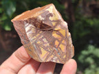 Natural Nguni Jasper Cobbed Specimens x 12 From Northern Cape, South Africa - Toprock Gemstones and Minerals 
