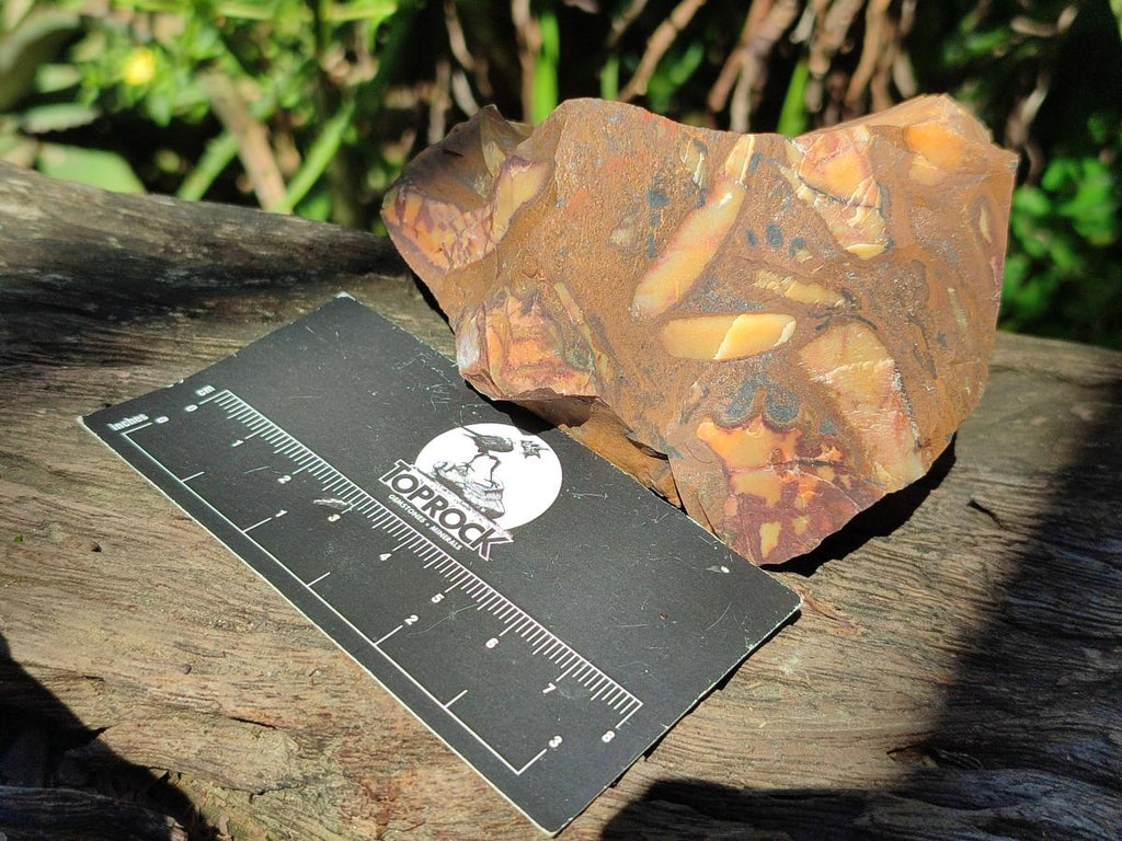 Natural Nguni Jasper Cobbed Specimens x 12 From Northern Cape, South Africa - Toprock Gemstones and Minerals 