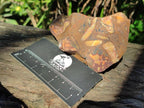 Natural Nguni Jasper Cobbed Specimens x 12 From Northern Cape, South Africa - Toprock Gemstones and Minerals 