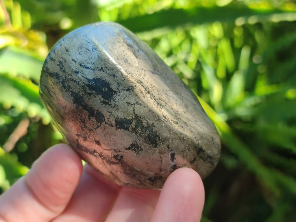 Polished Basalt Pharaoh Stone Free Forms x 12 From Iron Duke Mine, Zimbabwe - Toprock Gemstones and Minerals 