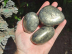 Polished Basalt Pharaoh Stone Free Forms x 12 From Iron Duke Mine, Zimbabwe - Toprock Gemstones and Minerals 