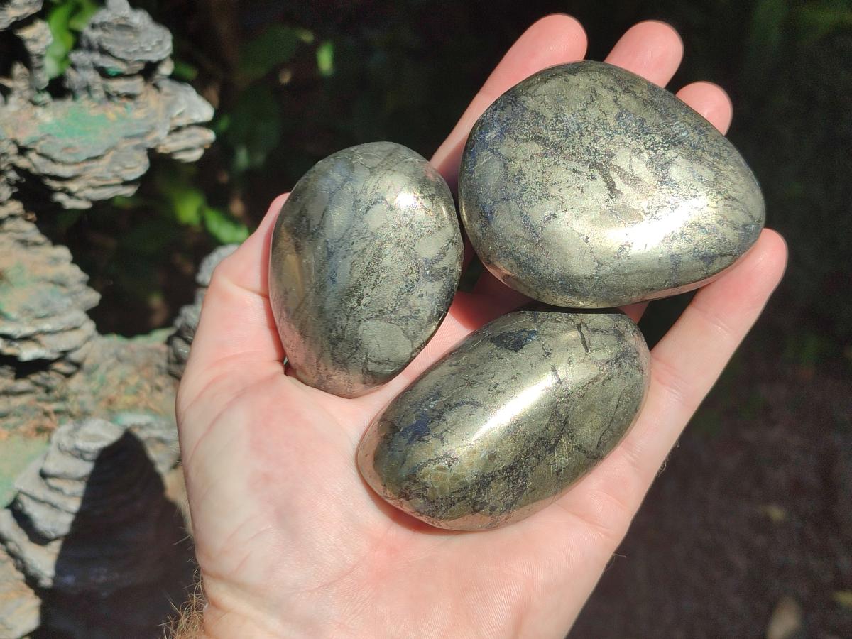 Polished Basalt Pharaoh Stone Free Forms x 12 From Iron Duke Mine, Zimbabwe - Toprock Gemstones and Minerals 