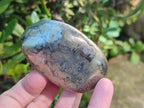 Polished Basalt Pharaoh Stone Free Forms x 12 From Iron Duke Mine, Zimbabwe - Toprock Gemstones and Minerals 