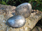 Polished Basalt Pharaoh Stone Free Forms x 12 From Iron Duke Mine, Zimbabwe - Toprock Gemstones and Minerals 