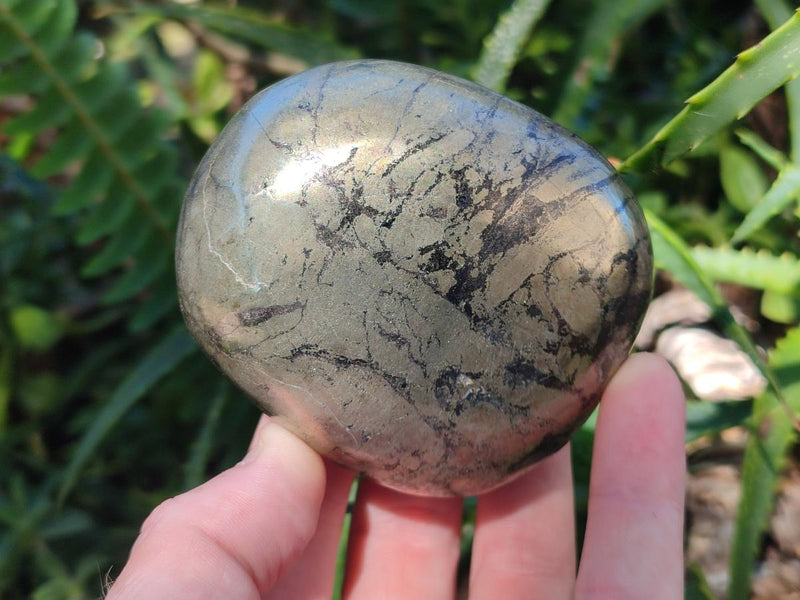 Polished Basalt Pharaoh Stone Free Forms x 12 From Iron Duke Mine, Zimbabwe - Toprock Gemstones and Minerals 