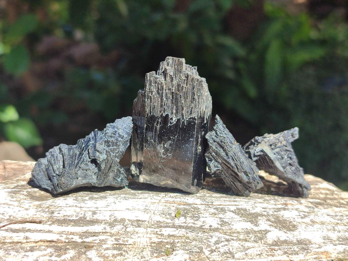 Natural Schorl Black Tourmaline Specimens x 32 From Erongo, Namibia - Toprock Gemstones and Minerals 