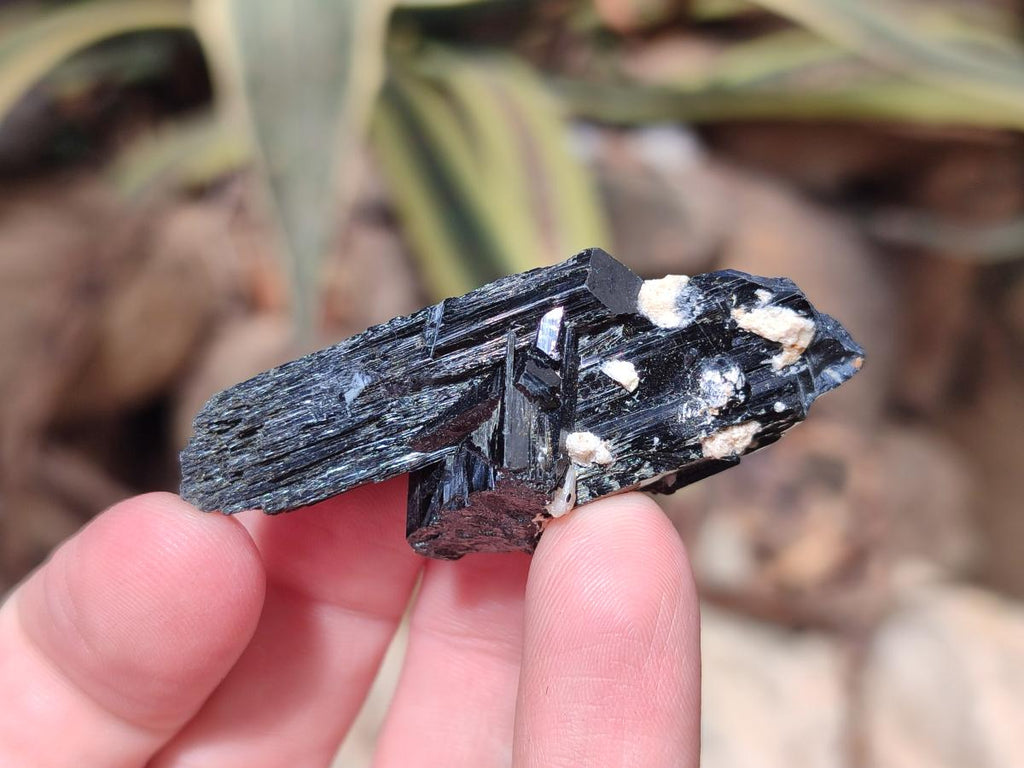 Natural Schorl Black Tourmaline Specimens x 32 From Erongo, Namibia - Toprock Gemstones and Minerals 