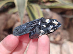 Natural Schorl Black Tourmaline Specimens x 32 From Erongo, Namibia - Toprock Gemstones and Minerals 