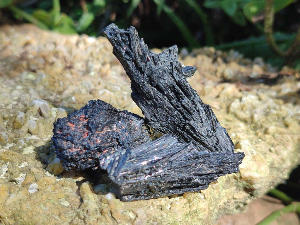 Natural Schorl Black Tourmaline Specimens x 32 From Erongo, Namibia - Toprock Gemstones and Minerals 