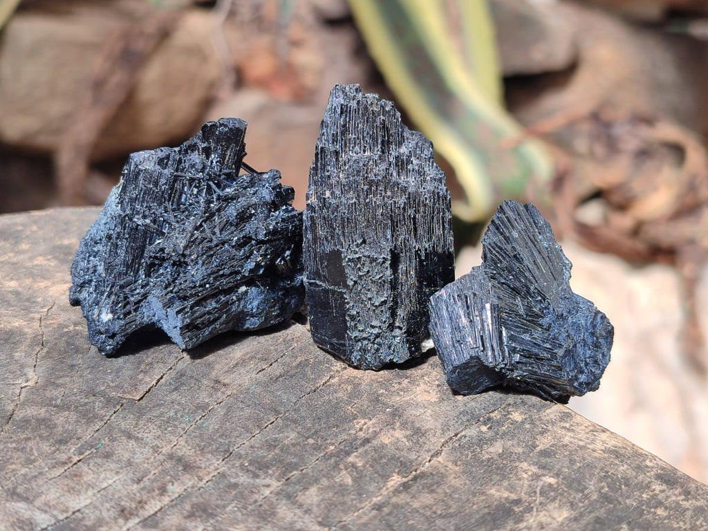 Natural Schorl Black Tourmaline Specimens x 32 From Erongo, Namibia - Toprock Gemstones and Minerals 