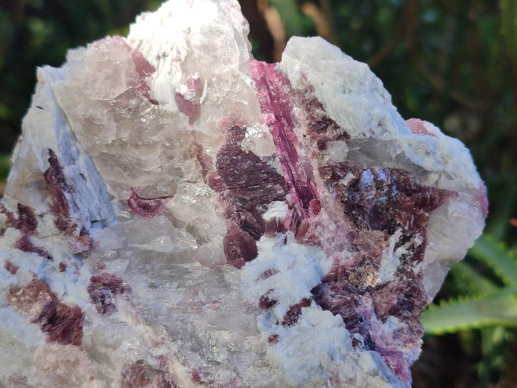 Natural Pink Rubellite Tourmaline Specimens x 2 From Karibib, Namibia - Toprock Gemstones and Minerals 