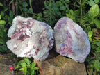 Natural Pink Rubellite Tourmaline Specimens x 2 From Karibib, Namibia - Toprock Gemstones and Minerals 