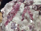 Natural Pink Rubellite Tourmaline Specimens x 2 From Karibib, Namibia - Toprock Gemstones and Minerals 