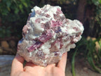 Natural Pink Rubellite Tourmaline Specimens x 2 From Karibib, Namibia - Toprock Gemstones and Minerals 