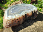 Polished One Side Banded Agate Nodules x 2 From Shashe River, Zimbabwe - Toprock Gemstones and Minerals 