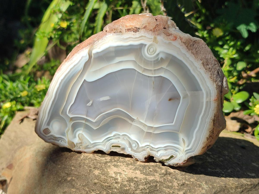 Polished One Side Banded Agate Nodules x 2 From Shashe River, Zimbabwe - Toprock Gemstones and Minerals 