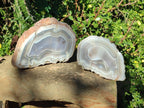 Polished One Side Banded Agate Nodules x 2 From Shashe River, Zimbabwe - Toprock Gemstones and Minerals 